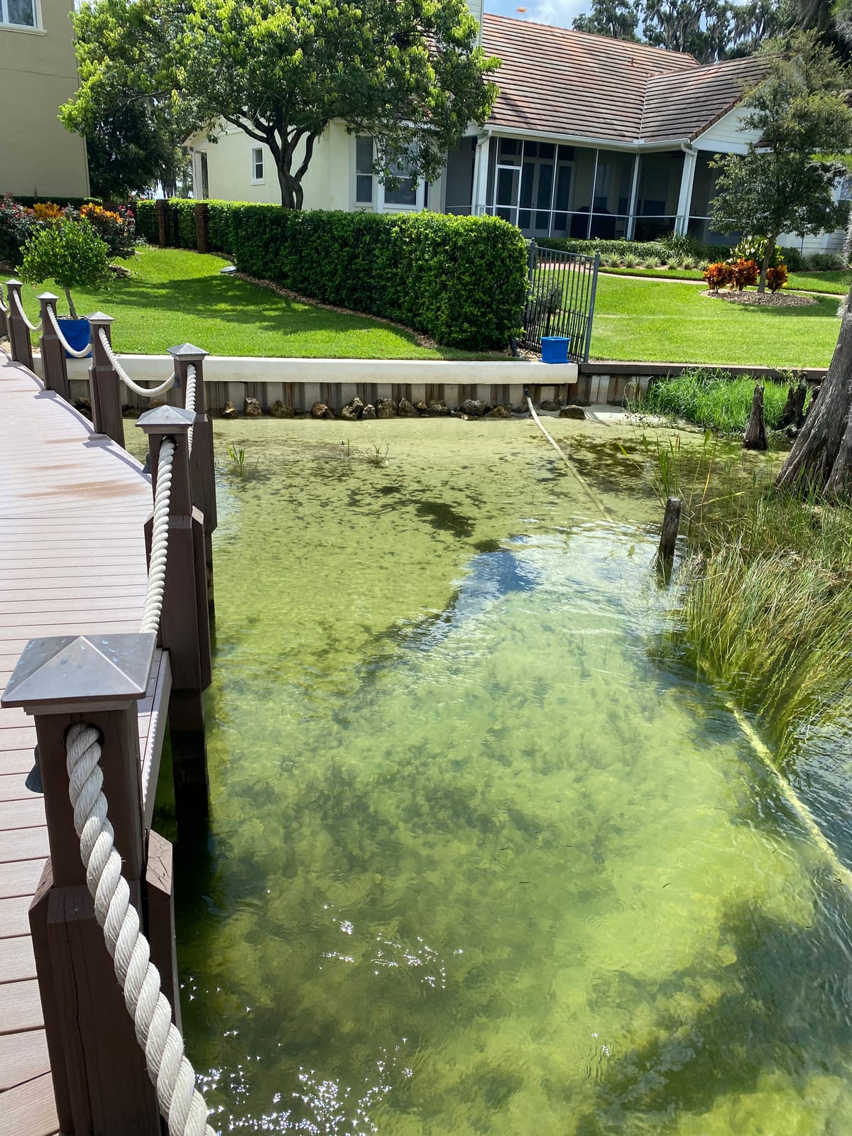 After — clean, clear water along the canal-front shoreline