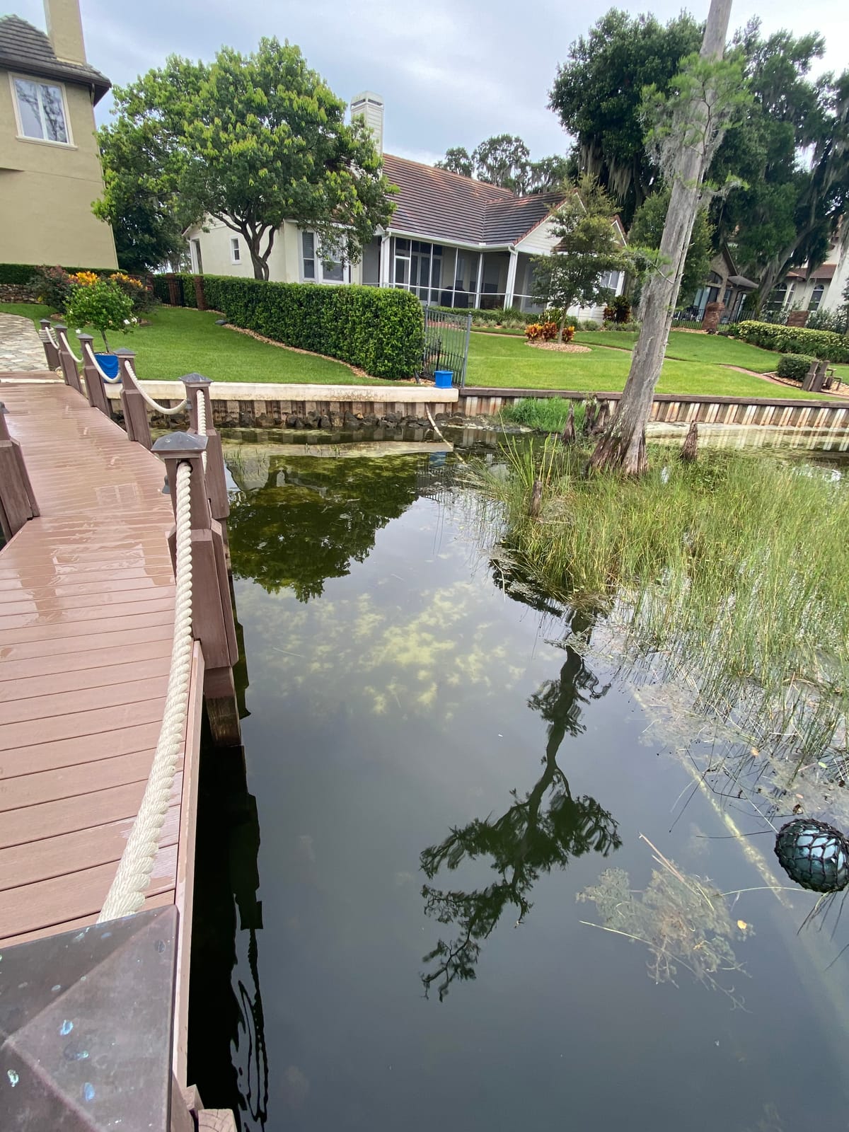 Before — weeds and muck along the canal-front shoreline