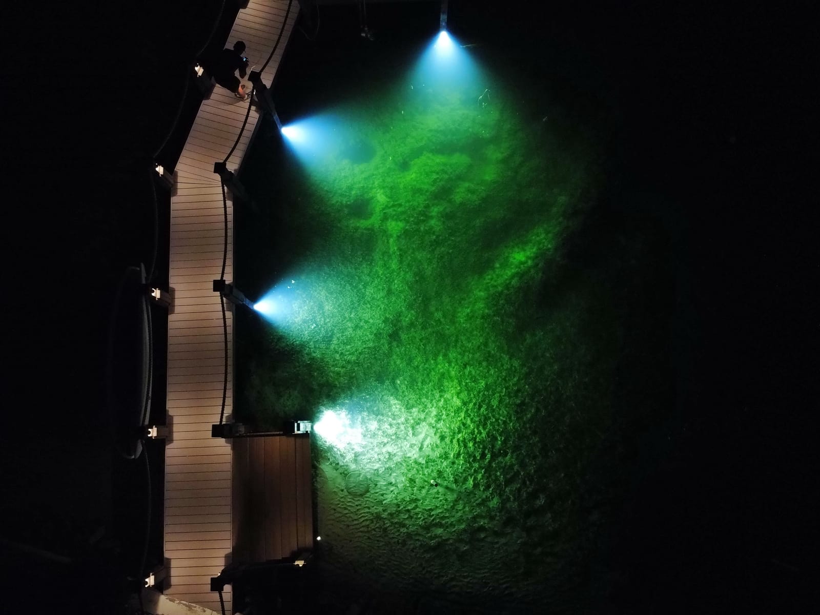Underwater dock light set to green